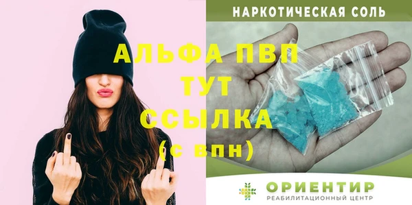 бошки Пересвет