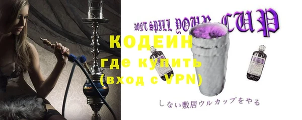 бошки Пересвет