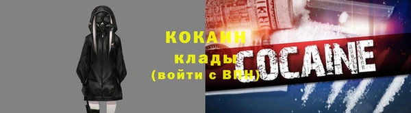 бошки Пересвет