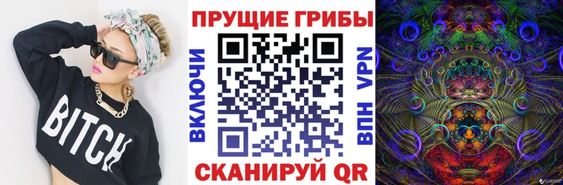 Псилоцибиновые грибы Psilocybine cubensis  Тейково 