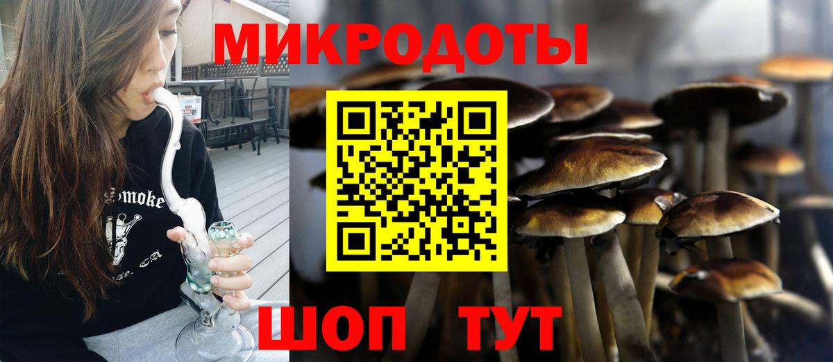 Псилоцибиновые грибы Cubensis  Вход с VPN  Тейково 