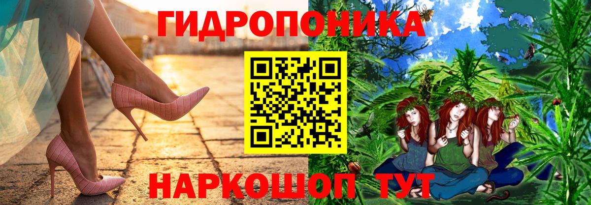 Канабис White Widow Тейково